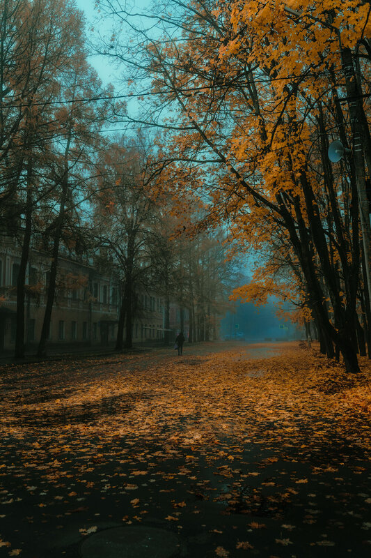 осташков, селигер, осень, туман, утро Золотая палитра Осташкова фото превью