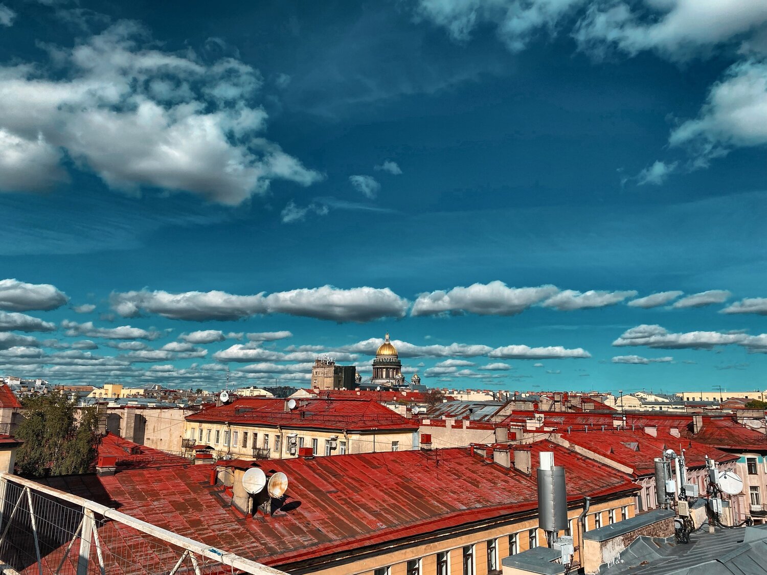 , Орлова Ксения