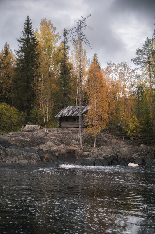 осень, карелия, озеро, лес Осень фото превью