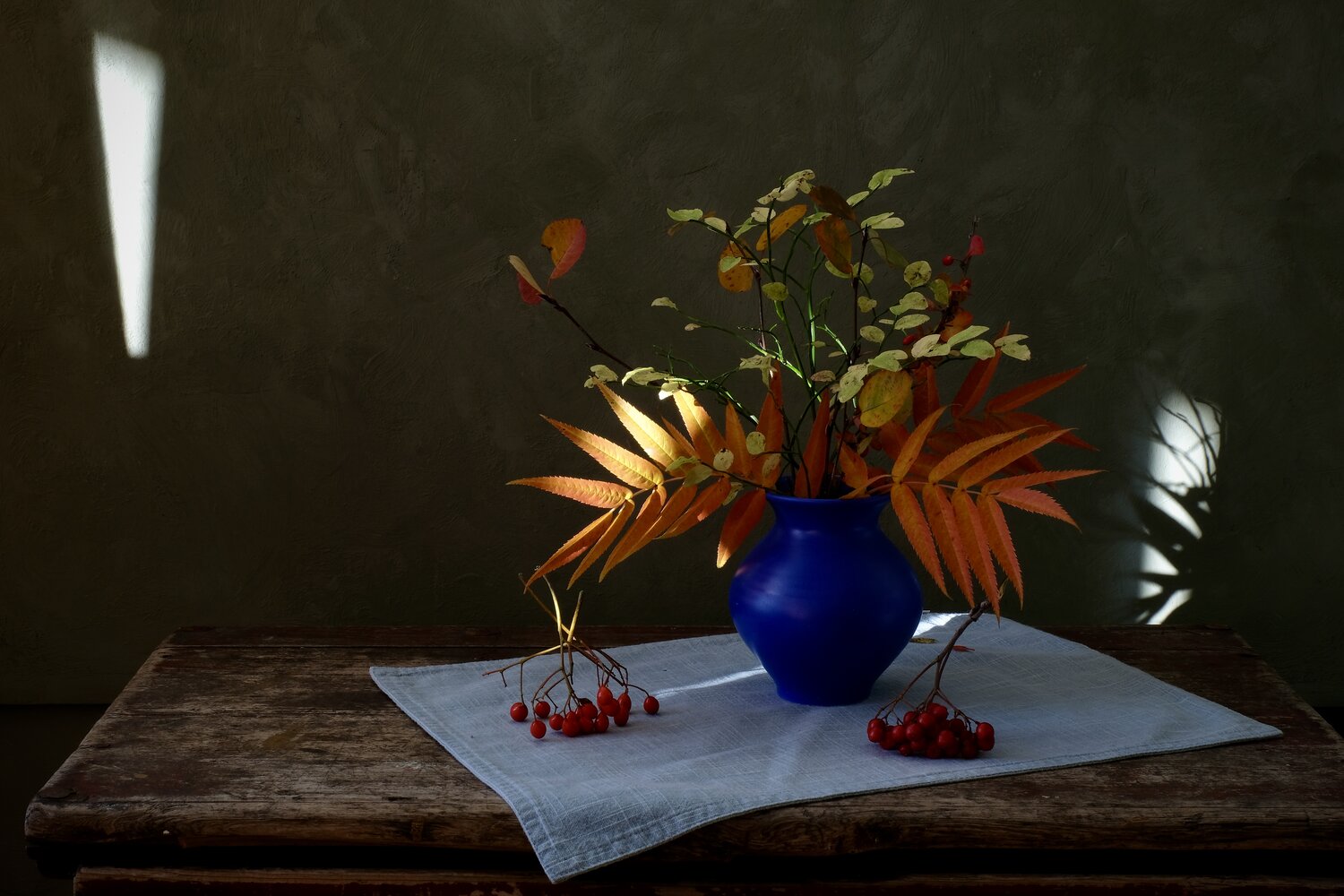 Still life, Autumn, Colors, Leaf, Rowan, Light, Svetlana Povarova Ree