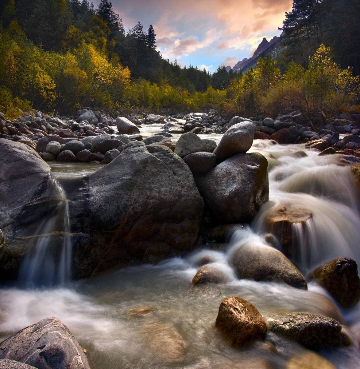 , Елена Брежицкая