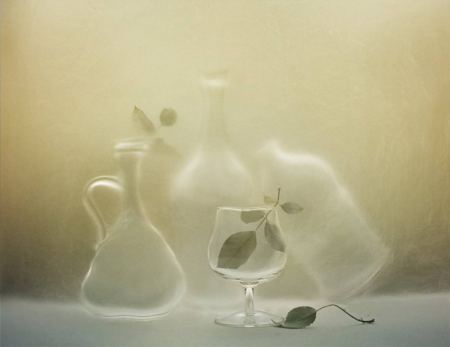 листья, бокал, кувшин, бутылка, стекло, Елена