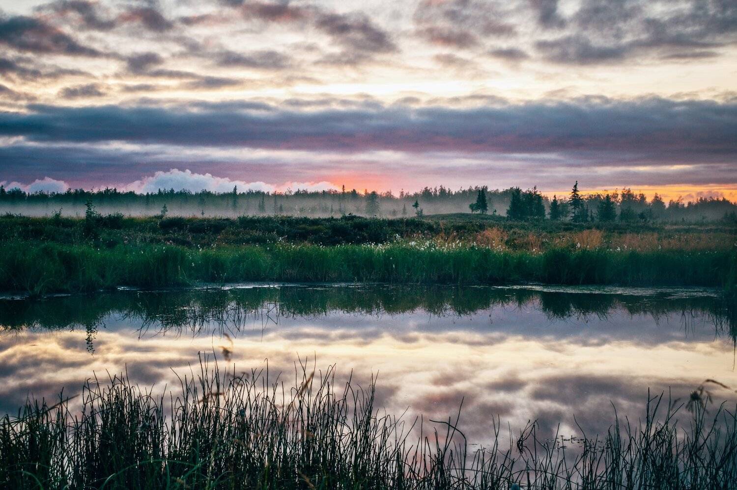 Дикая природа россии, Отражение, Пейзаж, Полярный круг, Утро, Ямал, Настя Братка