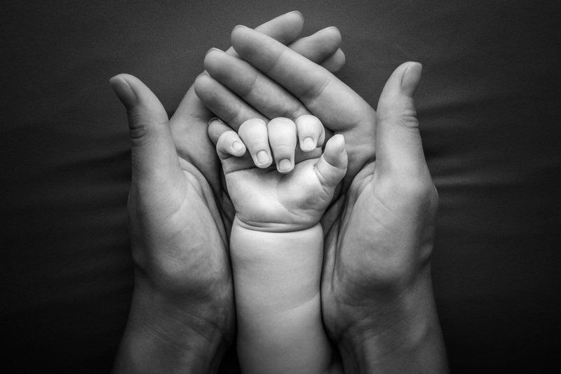 family NewLife фото превью