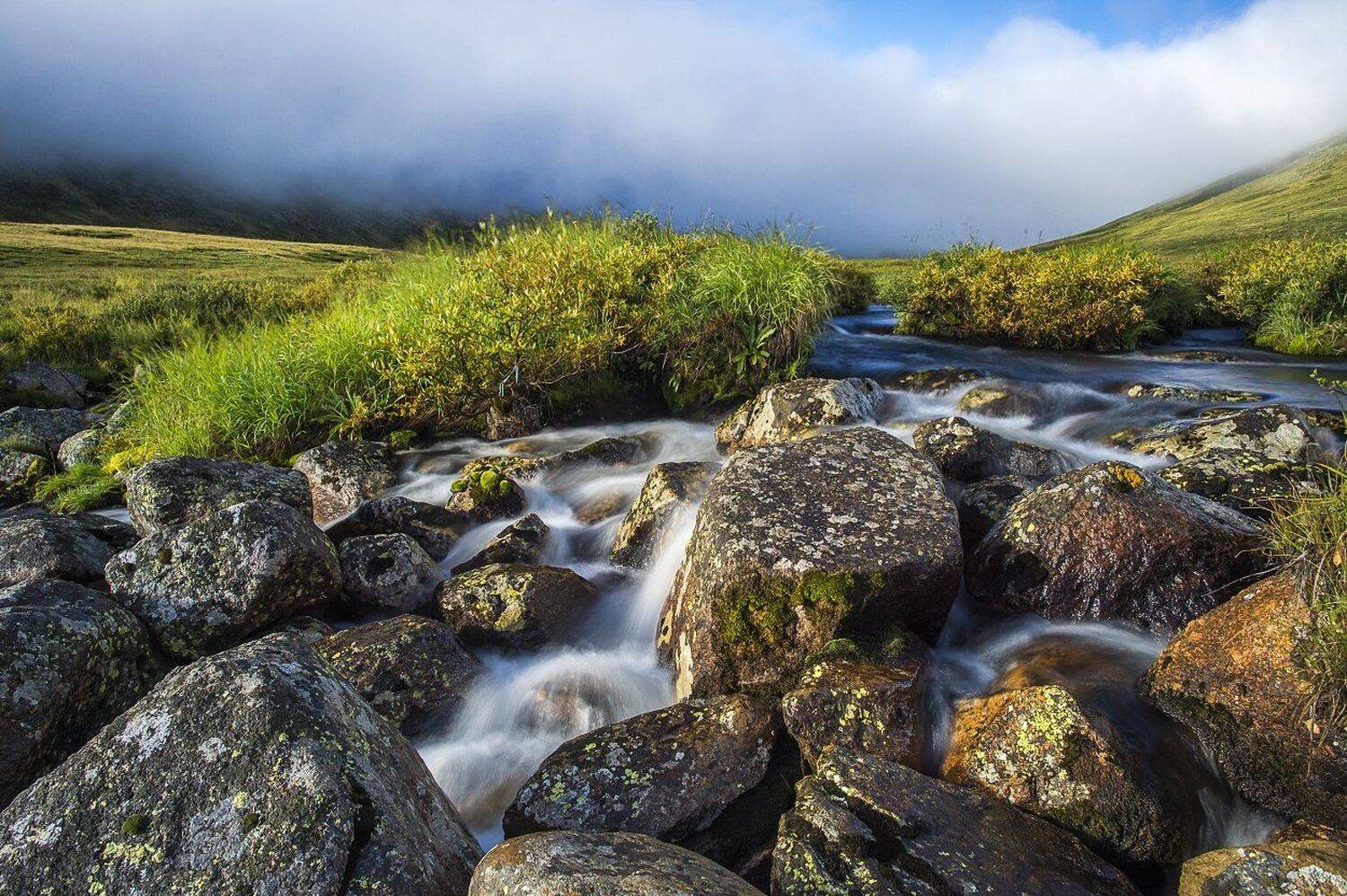 Горный алтай, Дикая природа россии, Природа, Река, Россия, Толмачев Дмитрий, Туман, Толмачев Дмитрий