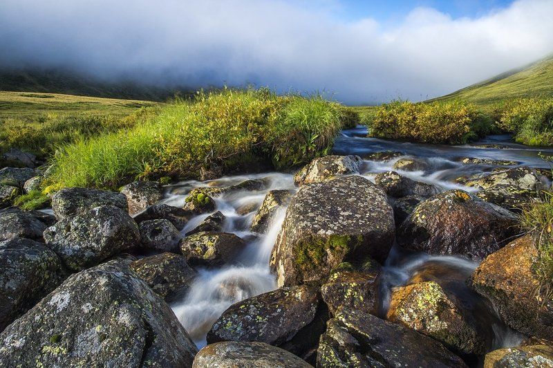 река из молока... фото превью
