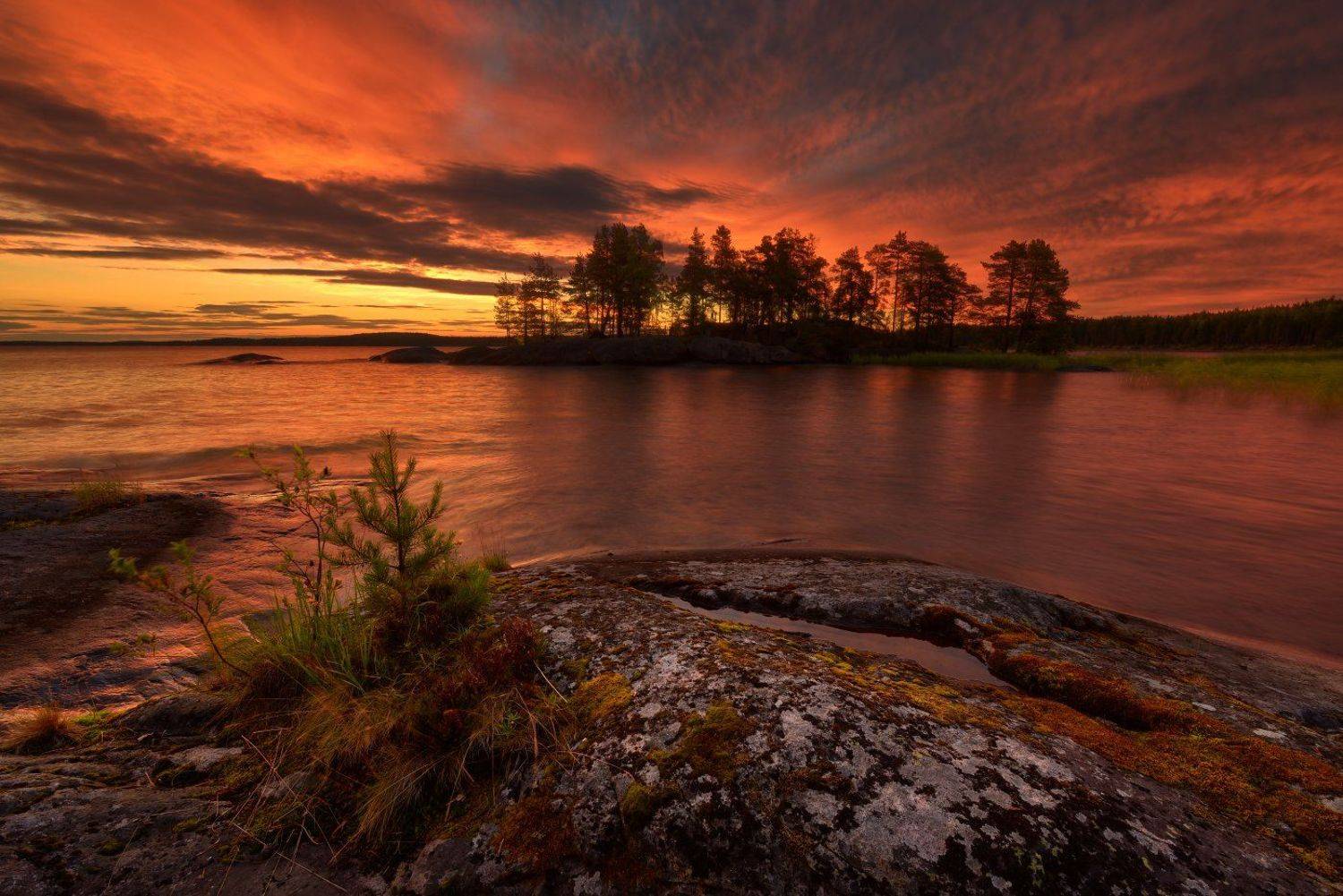 , Максим Евдокимов ( www.wildphotorus.ru )