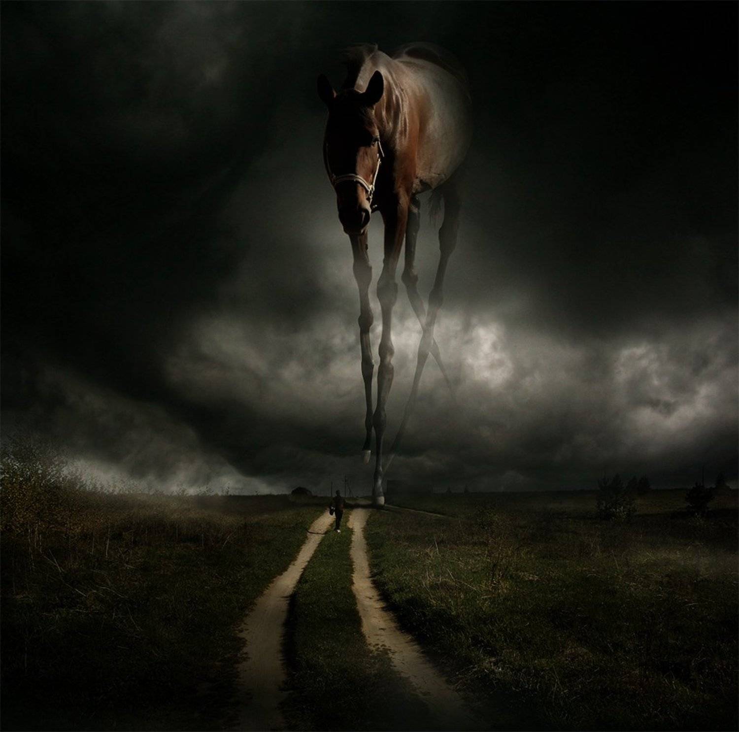 , Виктор Поздняк