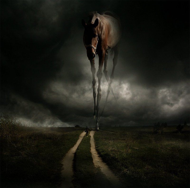 Осенние встречи... фото превью