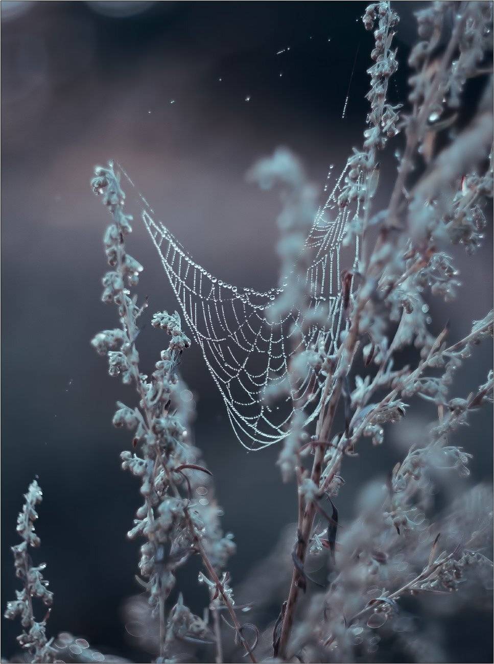 , Рудченко Анатолий