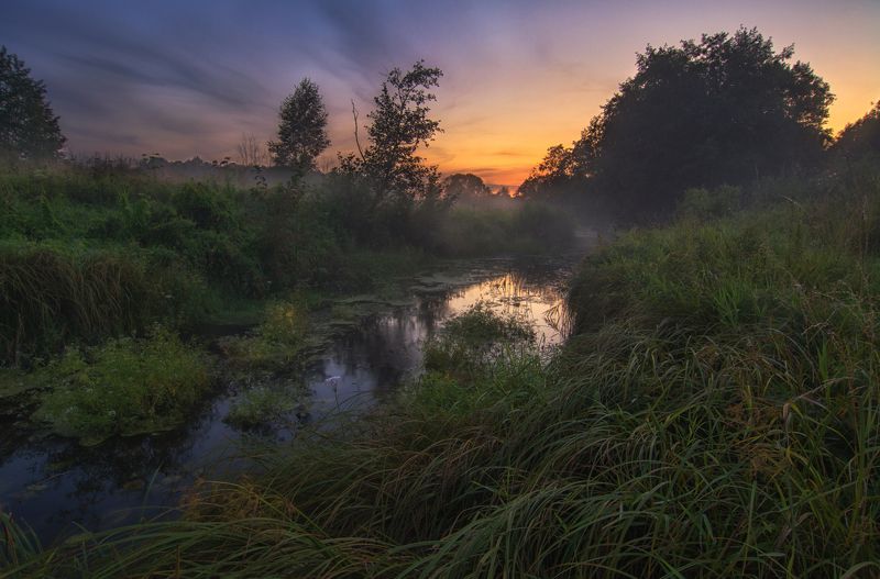 Мгновение фото превью