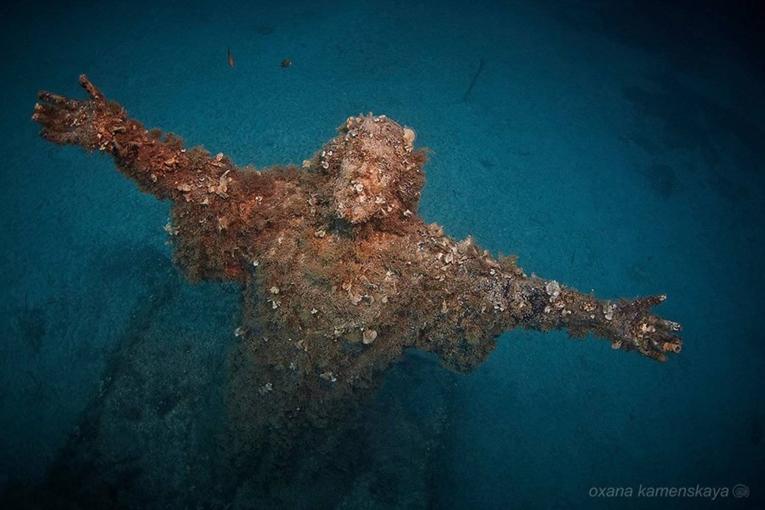 , Оксана Каменская