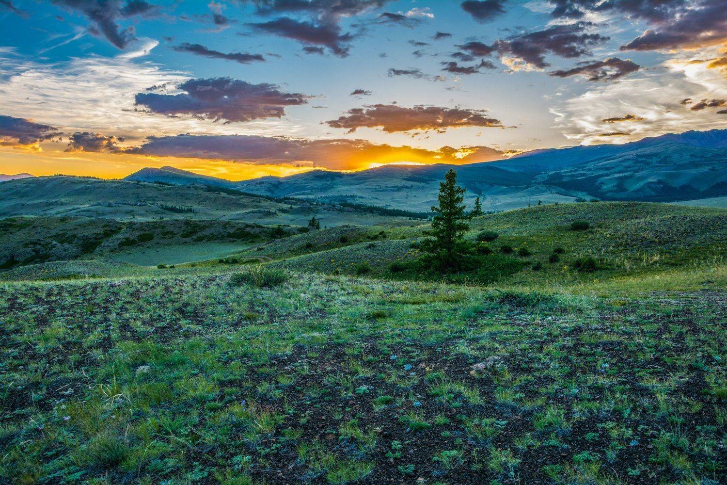 горы, небо, облака, закат, лето, дерево, Горный Алтай, пейзаж, природа, Сергей Ослопов
