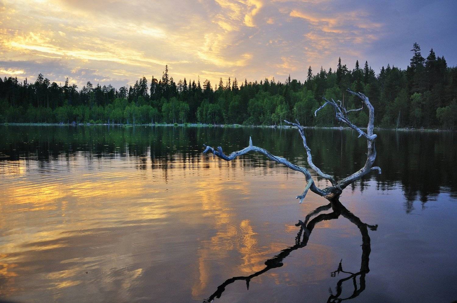 , Андрей Куликов