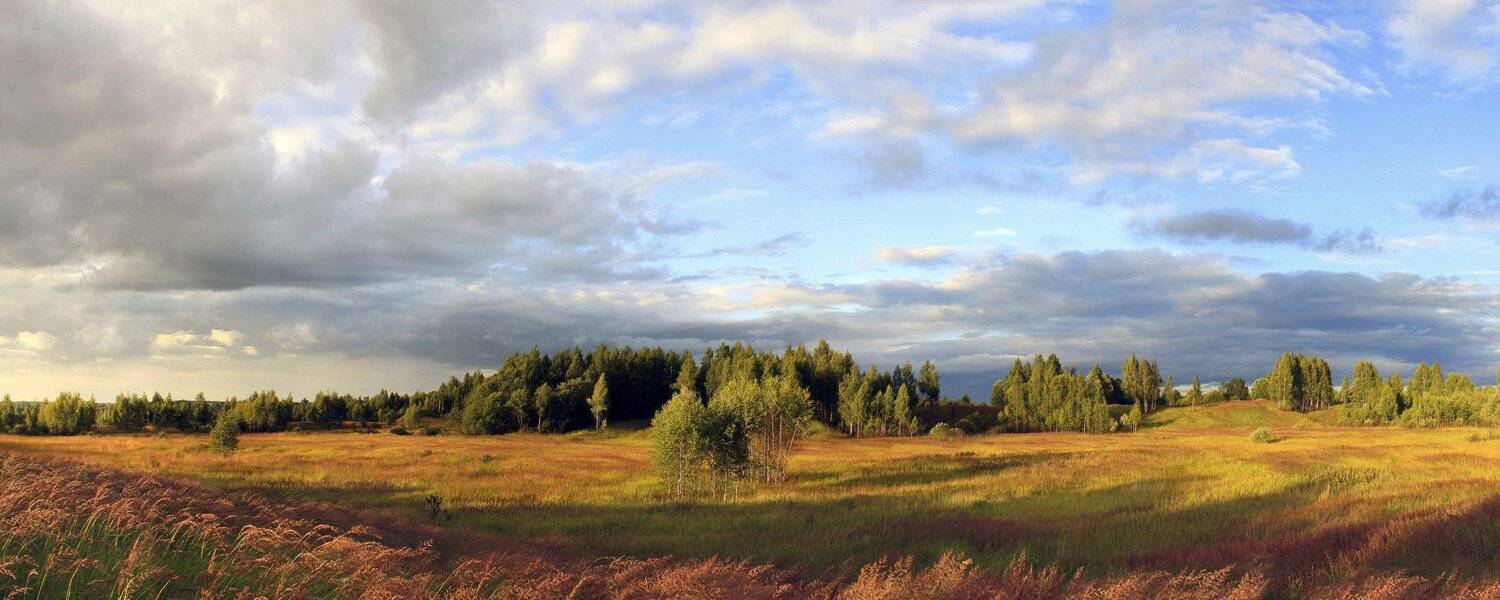 облака , лес , поле, Свистков Александр