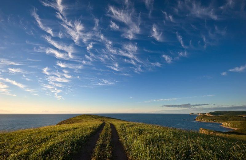 Про птицы-облака фото превью