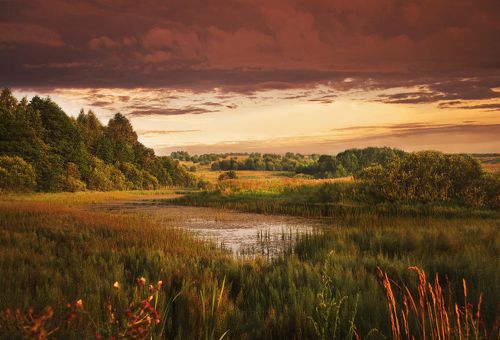 В ожидании грозы.