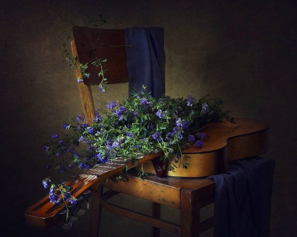 натюрморт, гитара, люцерна, стул, шарф, Ирина Приходько