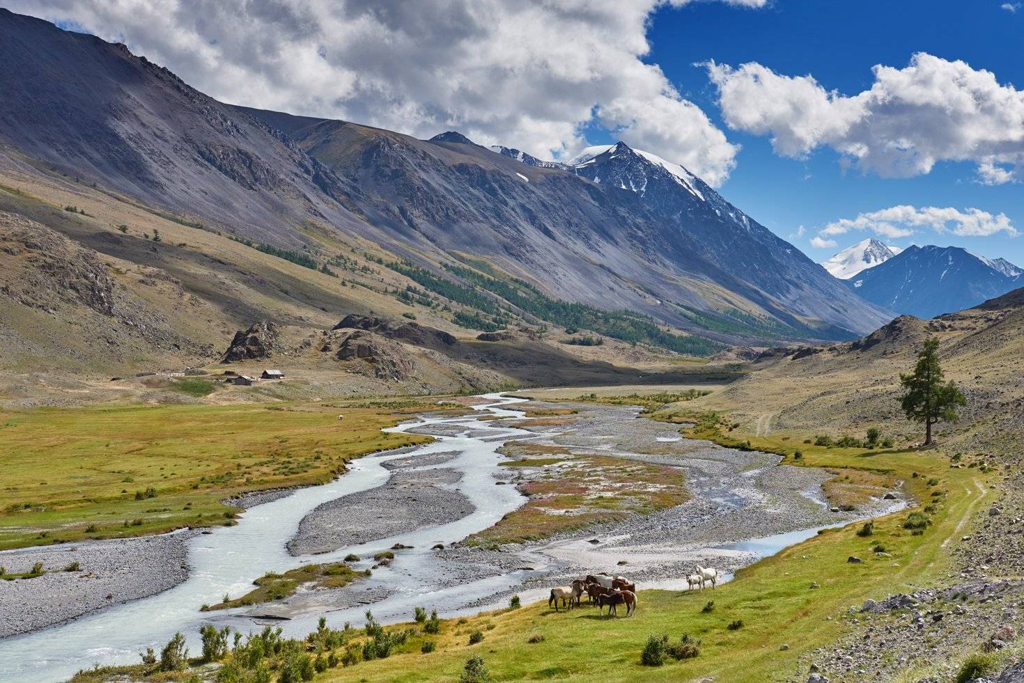 , Сергей Романчук