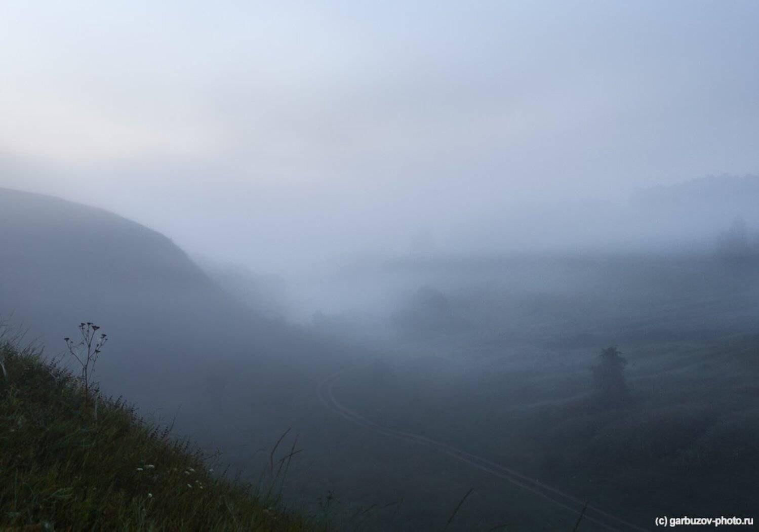 , Гарбузов Илья