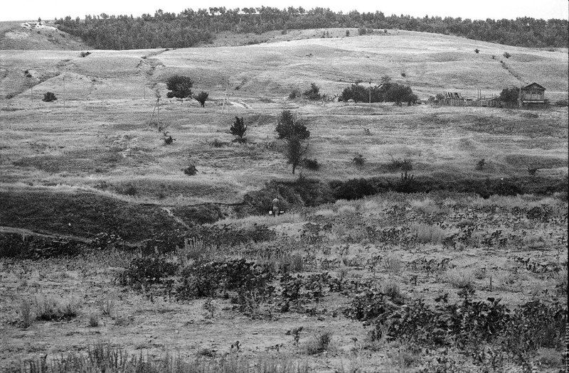 За водой. фото превью