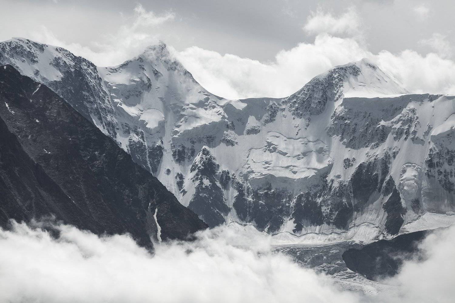 , Дмитрий Кривопалов