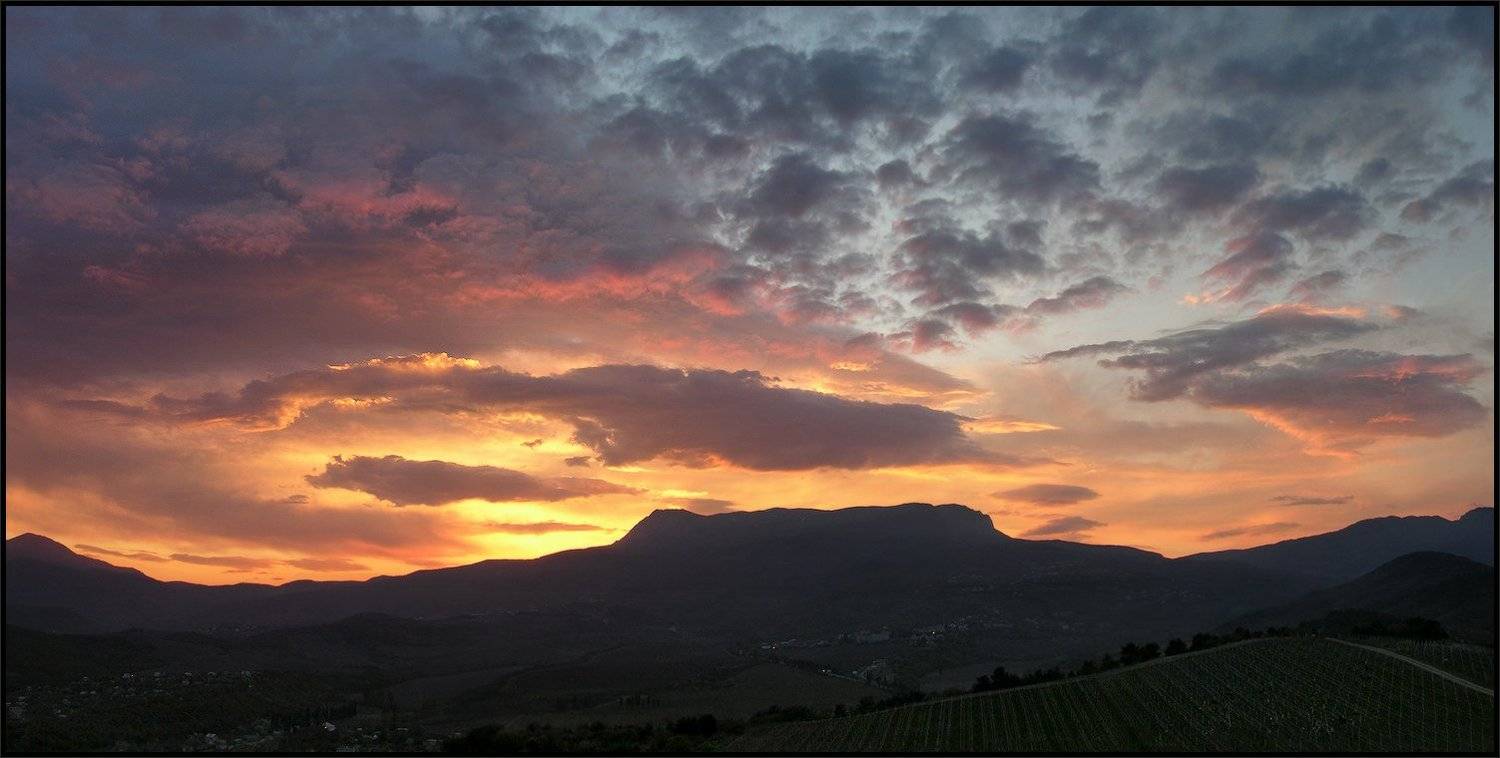 , Владимир Метцгер