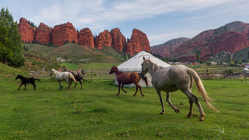 Утренняя зарядка фото превью