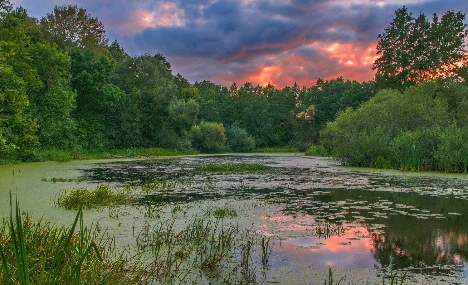 , Александр Гвоздь
