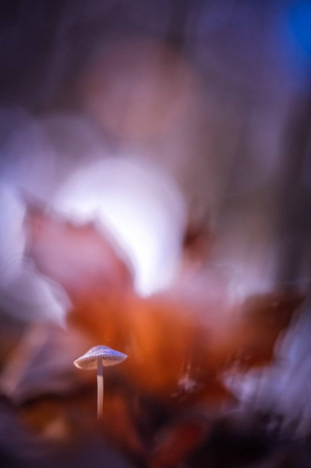 , Вячеслав Мищенко