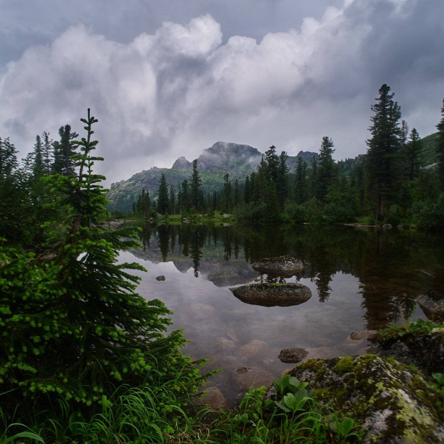 , Лена Стогова