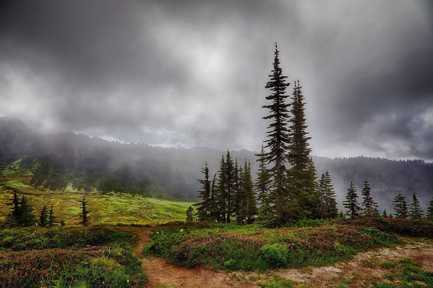 Mount Rainier, Горы, Облака, Солнце, Svetlana Popova