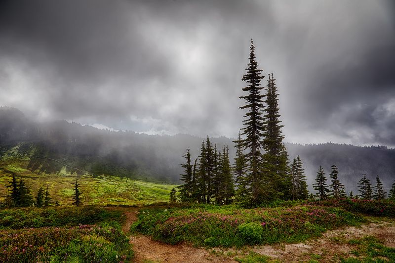 Mount Rainier, Горы, Облака, Солнце *** фото превью