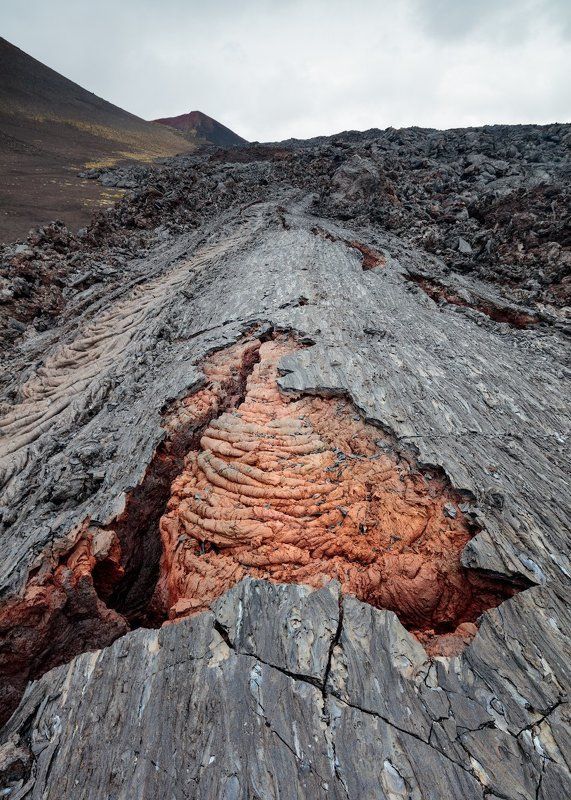 Скорлупа \\ Shell фото превью