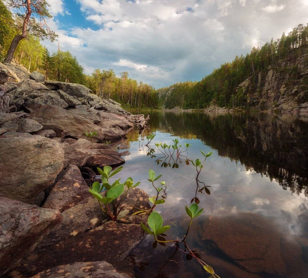 Карелия, панорама, вечер, озеро, лето, Cтанислав Малых
