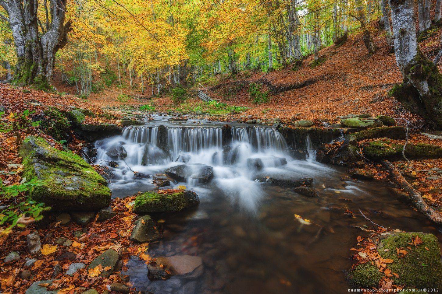 пилипец, водопад, шипот, осень, закарпатье, горы, река, ручей, карпатский, вода, лес, украина, пейзаж, камень, красота, природа, течет, зеленый, окружающая, среда, мох, каскад, мокрый, дикий, поток, дерево, движение, брызги, свежий, парк, яркий, мирный, с, Александр Науменко