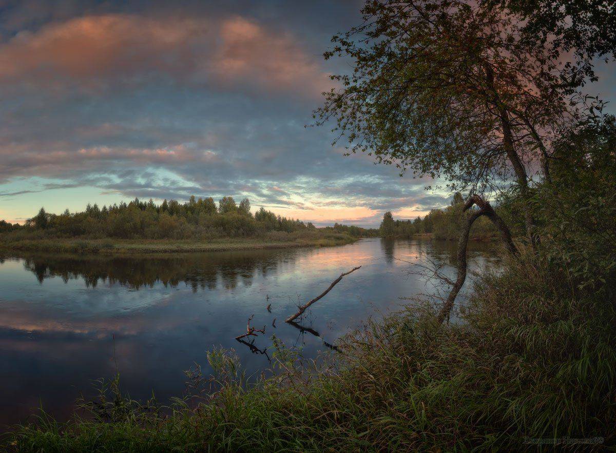 , Хохряков Николай