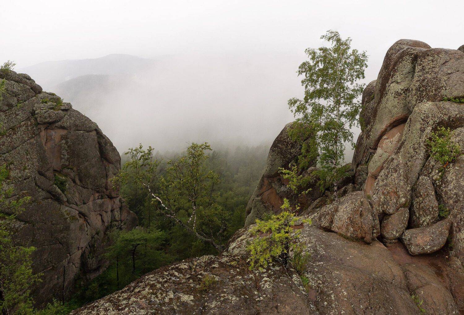 , Лещёнок Александр