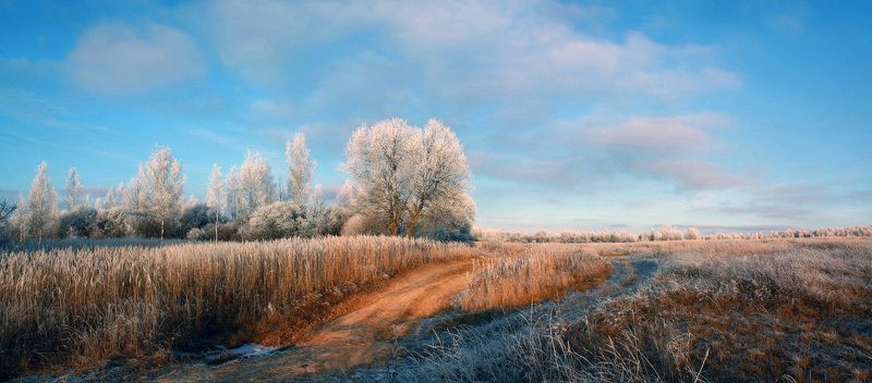 дорога, зима Русский пейзаж ) фото превью