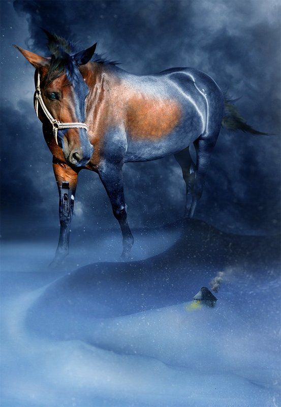 Конь стужи... фото превью