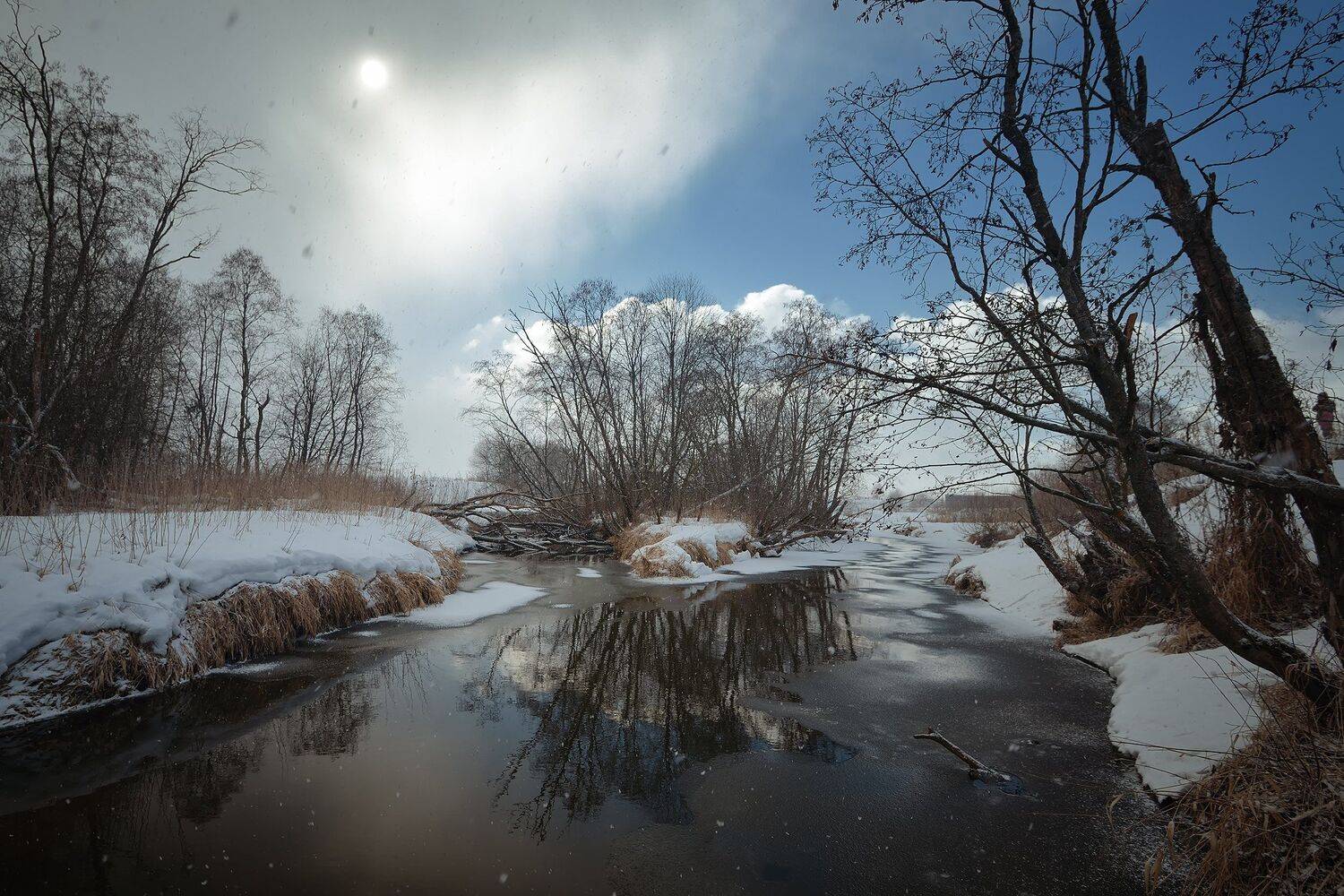 , Алексей Никонов