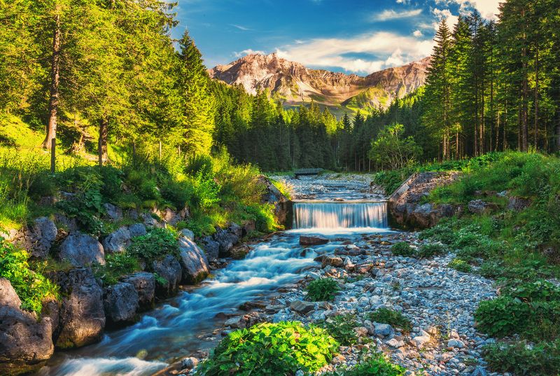 фото превью