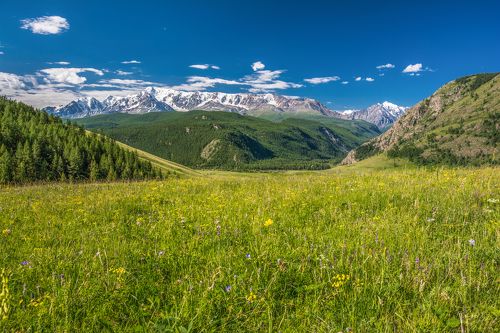 Краски лета