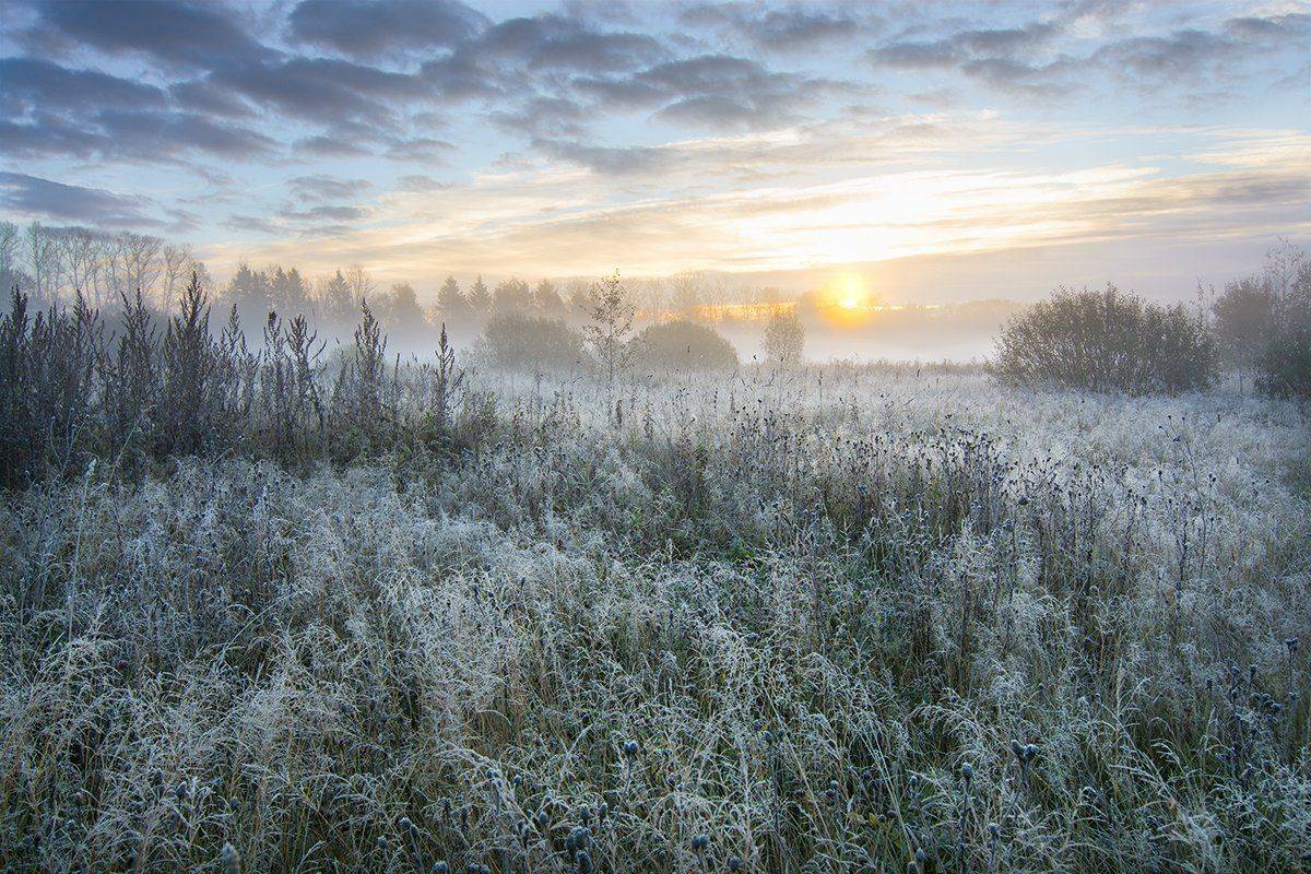 , Дмитрий Асеев