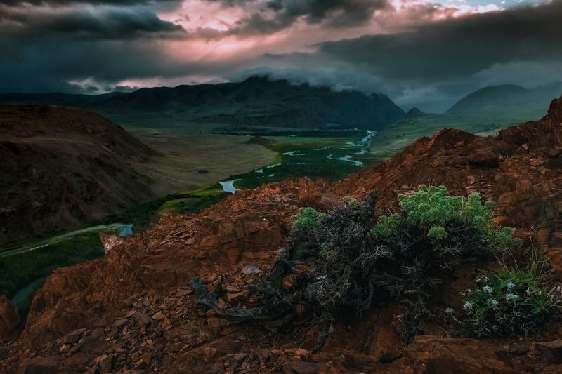 фото превью