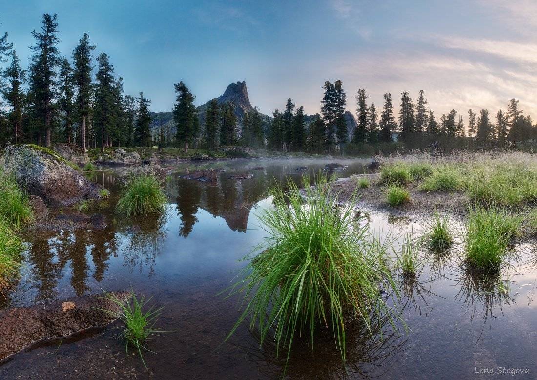 , Лена Стогова