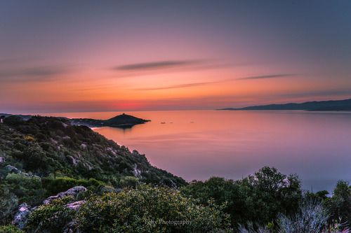 вечерние цвета