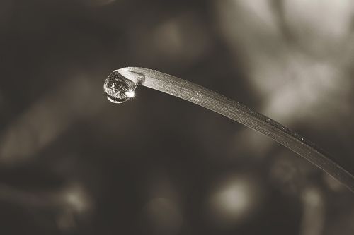 Одна дождливая история