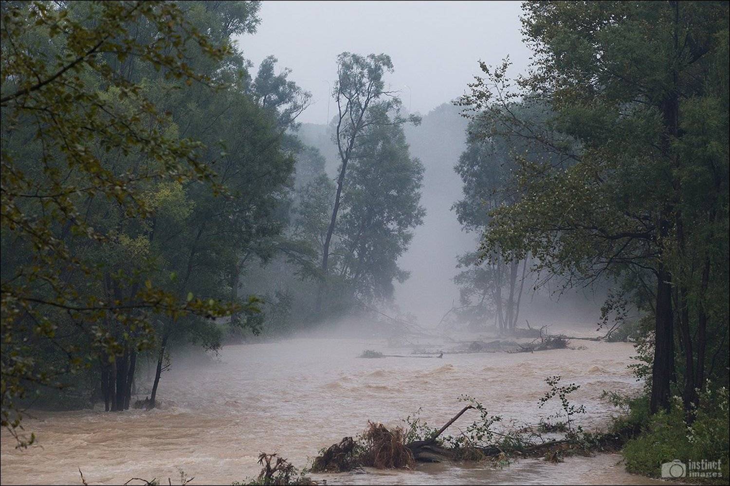 , Дмитрий Рудаков