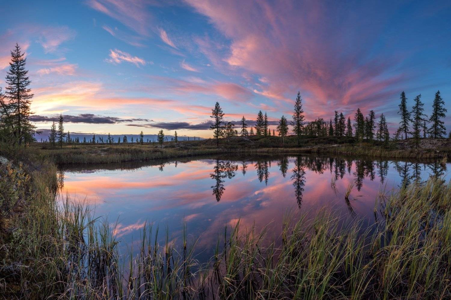 закат, озеро, сибирь, янао, север, арктика, Андрей Снегирёв